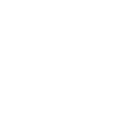 Фотография команды